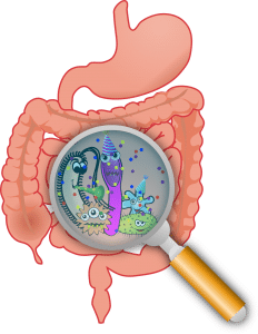stomach-bacteria