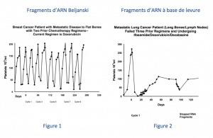 Les fragments ARN de Beljanski vs les fragments ARN de levure