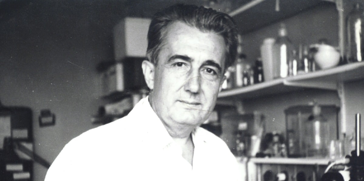 Mirko Beljanski